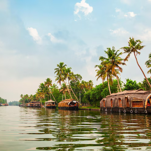 Palm-lined backwaters – tropical travel tour vibes