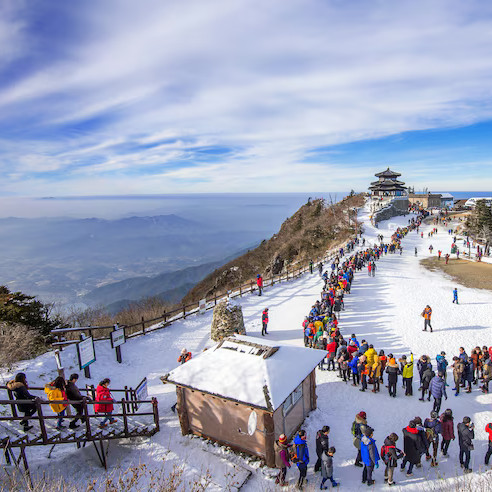 Snowy trail walk – peaceful travel tour