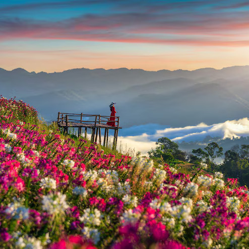 Woman by flowers and valley – peaceful holiday travel