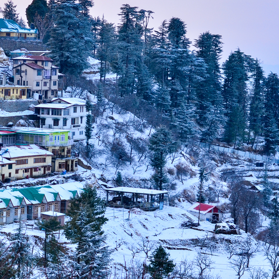 Snowy village with trees for quiet traveler escape