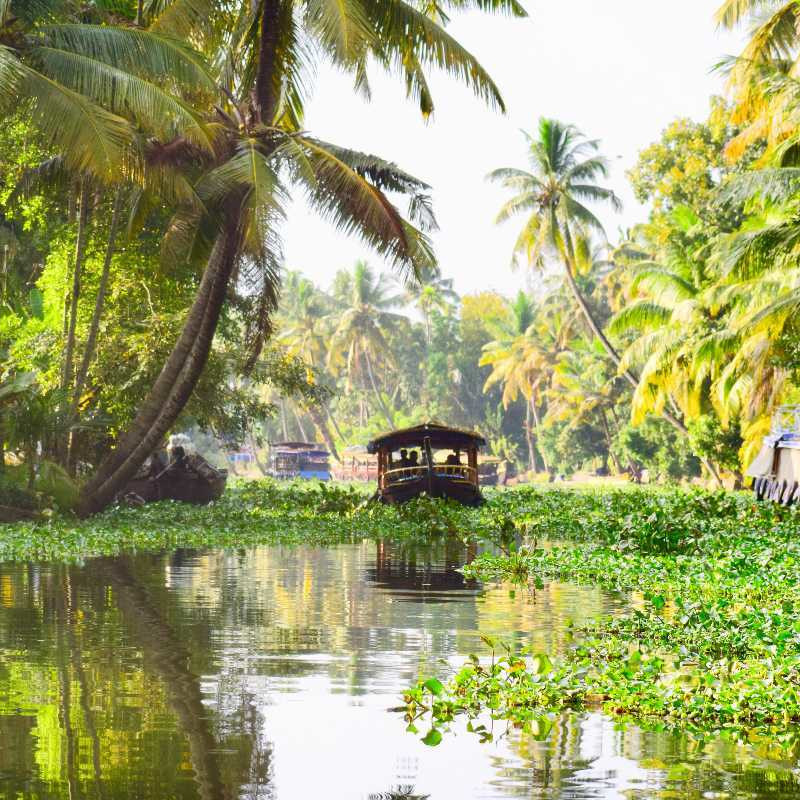 Houseboat in backwaters – peaceful travel adventure