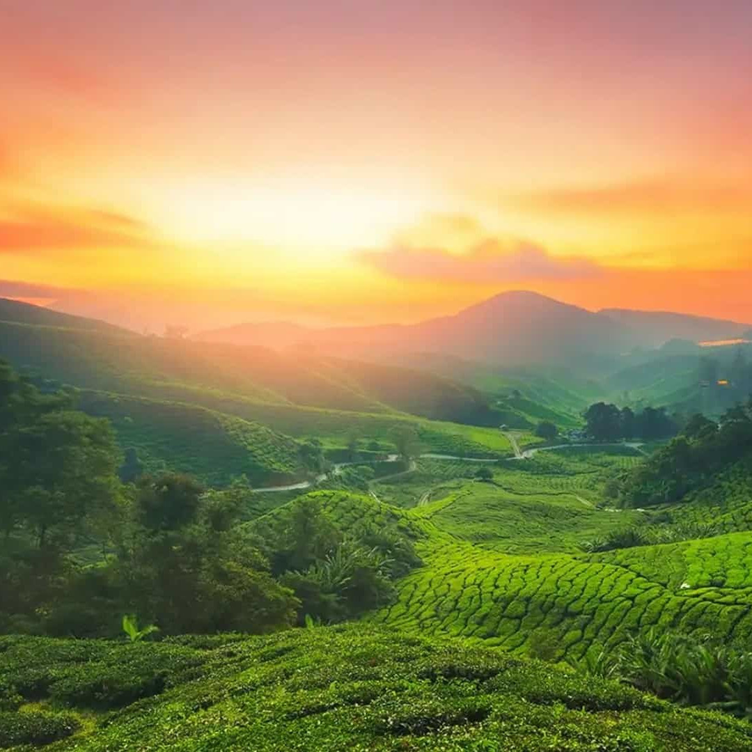 Sunrise on hills – glowing nature travel moment