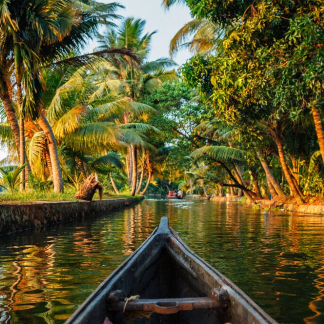 Canoe in palm canal – calm Kerala tour