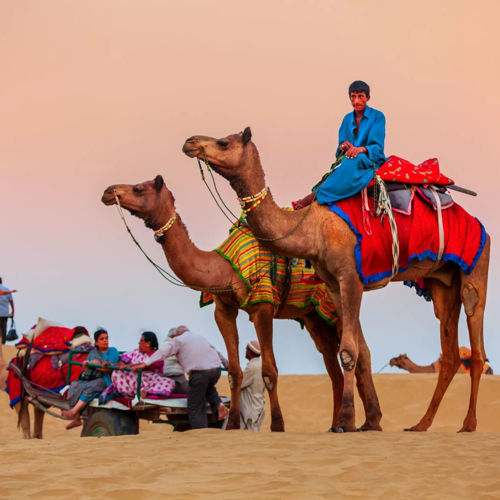 Sunset camel safari – desert adventure travel