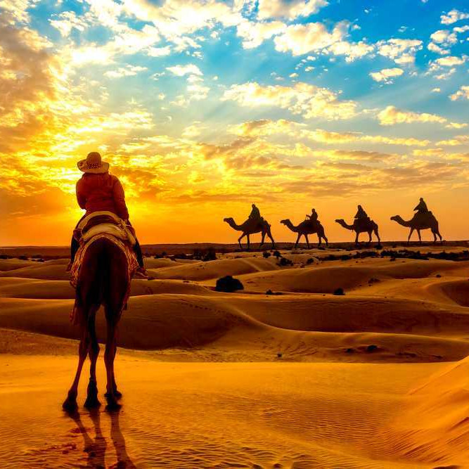 Camel safari at sunset – epic tour experience