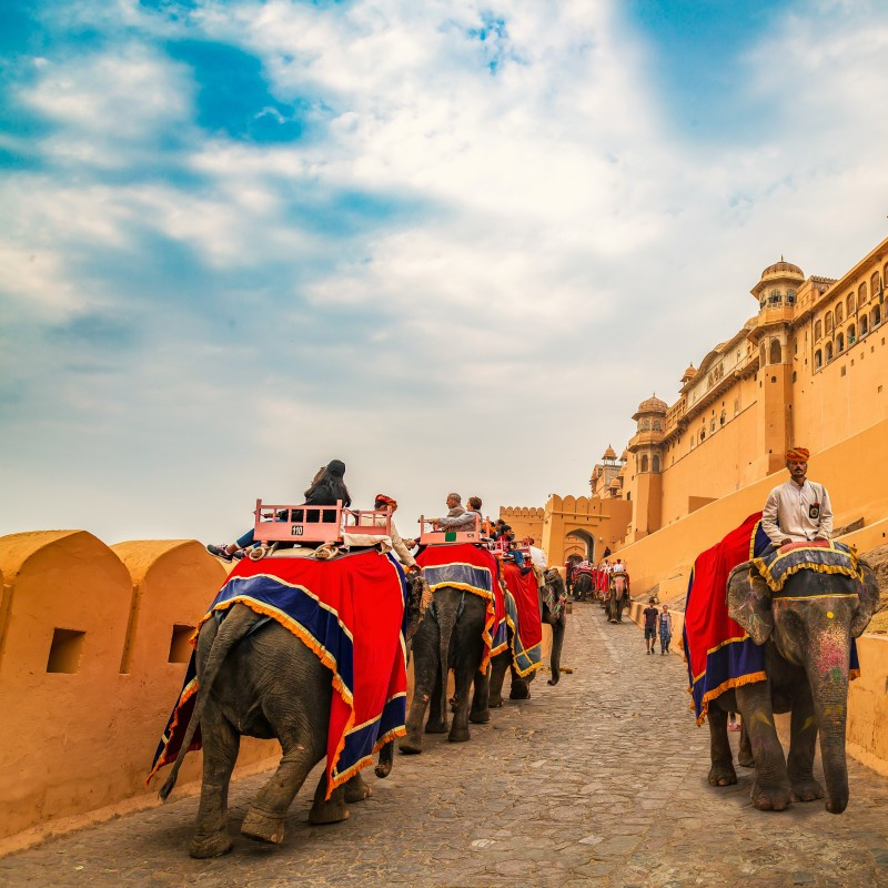 Elephant ride to Amber Fort – royal holiday tour