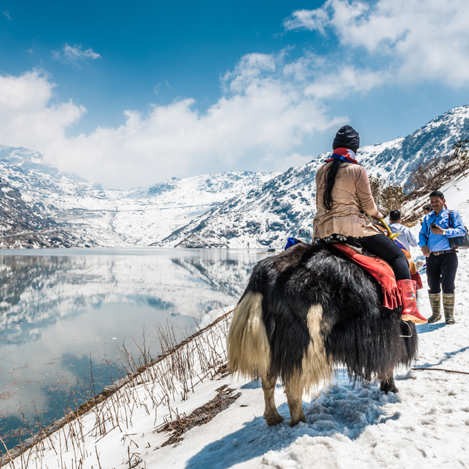 Tourist on yak by snowy lake – winter adventure